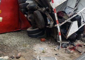 Inseguridad vial RD pone en peligro a niños beisbolistas