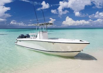 Ministro de Medio Ambiente y Recursos Naturales, declaró que están mediando un procedimiento para regularizar las lanchas y las velocidades.