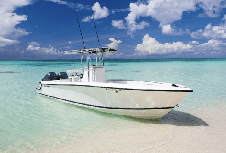 Ministro de Medio Ambiente y Recursos Naturales, declaró que están mediando un procedimiento para regularizar las lanchas y las velocidades.