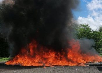 Incineran más de 2,000 kilos de drogas incautadas en Peravia