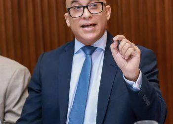 Vocero de presidencia se disculpa por declaraciones de Angelita Peña