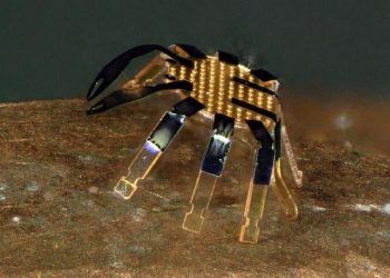 Nanotecnología: Primer robot tipo cangrejo