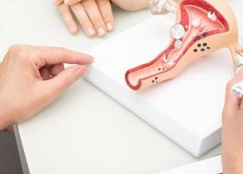 Cirujano crea programa de trasplante de útero a transgéneros