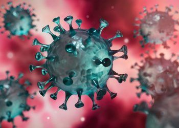 Nuevos casos de COVID-19