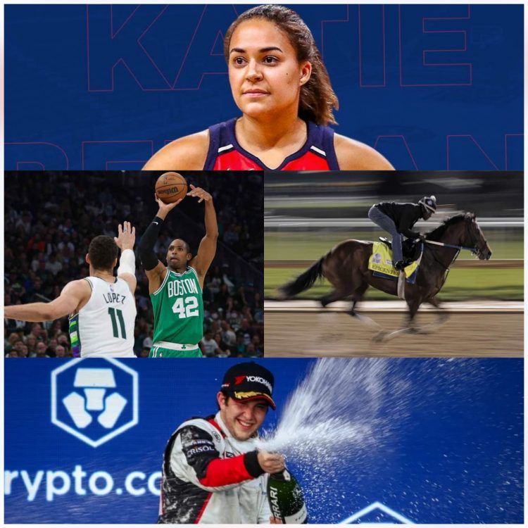 Cuarteto de deportistas dominicanos brillaron el fin de semana