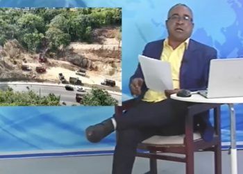 Denuncian manos políticas en tala indiscriminada de árboles en Sosúa