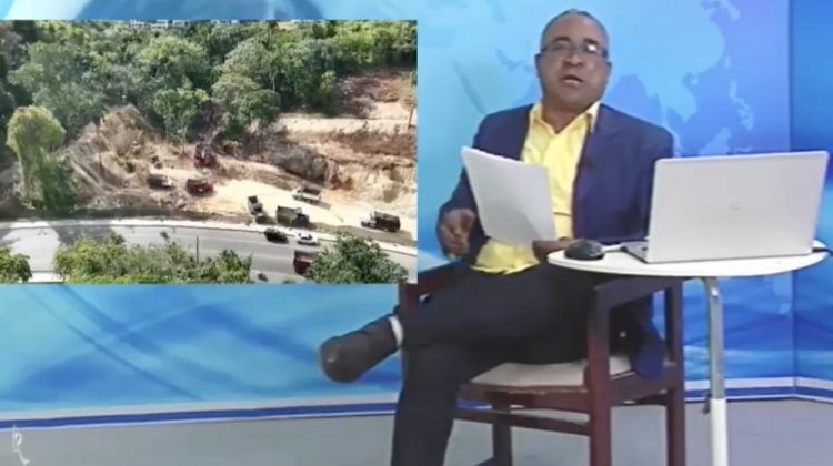 Denuncian manos políticas en tala indiscriminada de árboles en Sosúa