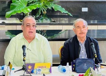 PLD niega discutan posible apoyo a reforma Constitucional