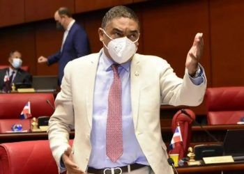 Senador PLD: "Gobierno privilegia lo privado por encima de lo público"