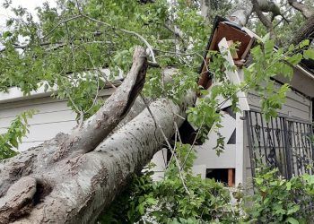 Aguaceros afectan más de 15 viviendas en Puerto Plata 