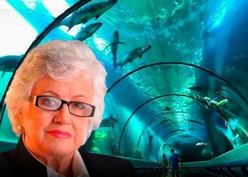 DIGEIG visita el Acuario tras denuncias de irregularidades