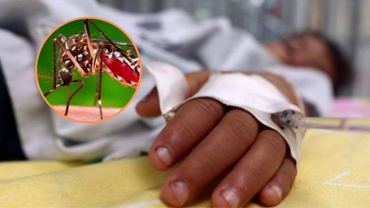 Dengue está afectando 16 municipios del país