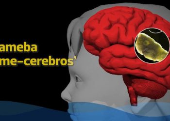 ¿Qué es la ameba "come cerebros" esparcida en un lago de Missouri?