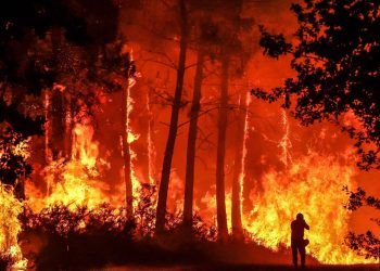 Entre incendios y sequía, Europa le tiende la mano a Francia