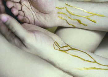 “Sangre Dorada” un tesoro para el mundo y un riesgo para su portador