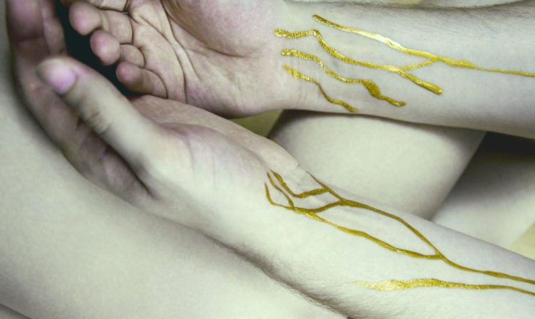 “Sangre Dorada” un tesoro para el mundo y un riesgo para su portador