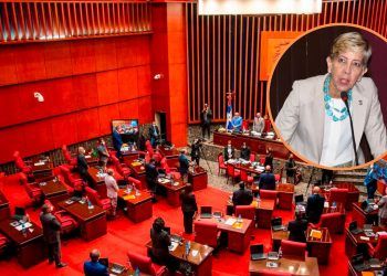 Ginette Bournigal: “Yo quería ser presidenta del Senado”