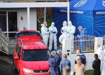 En maletas subastadas en Nueva Zelanda encuentran restos de niños