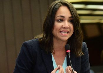 Faride Raful: "Funcionarios deberían ayudar más al presidente"