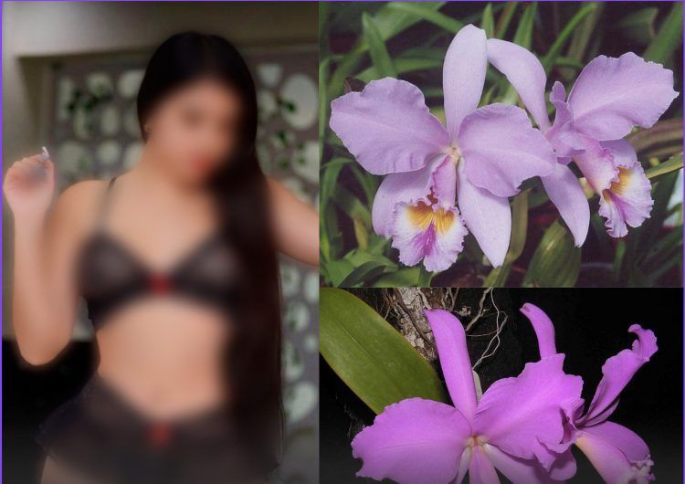 Operación Cattleya: ¿Sobre trata o prostitución?