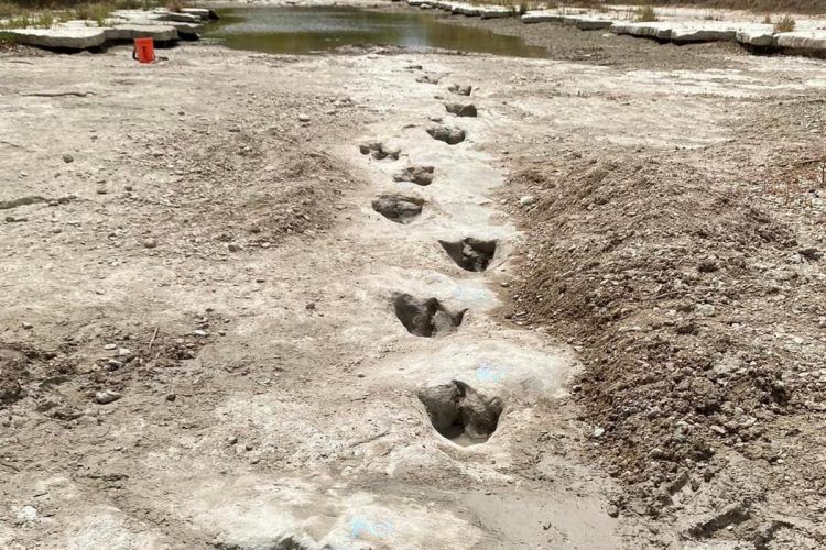 Sequía en Texas deja al descubierto huella de dinosaurios