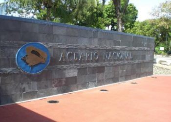 Tras denuncia, se reconoce nepotismo en el Acuario Nacional