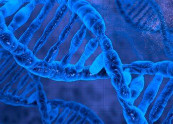 ¿Te pareces a un desconocido ? ¡Tienen ADN similar !