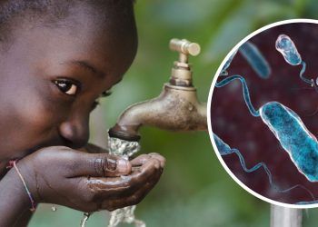 Notifican tres nuevos casos de cólera; suman 91 el total en el país