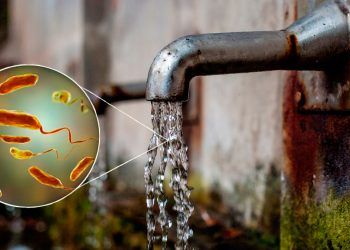 La OMS advierte sobre el repunte de casos globales de cólera