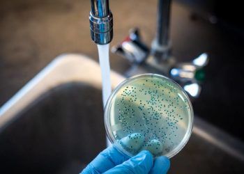 Salud Pública registra seis nuevos casos de cólera en el país