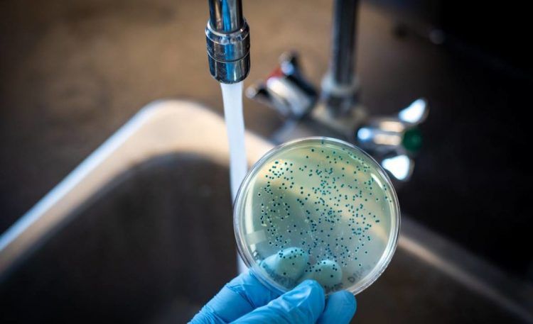 Salud Pública registra seis nuevos casos de cólera en el país