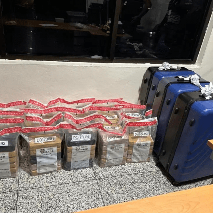 Incautan 119 paquetes de cocaína en Aeropuerto las Américas