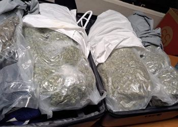 Incautan 34 paquetes de marihuana escondidos en fundas de almohada