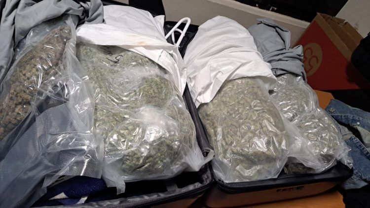 Incautan 34 paquetes de marihuana escondidos en fundas de almohada