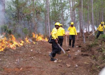 Medio Ambiente asegura que incendios forestales en distintos puntos del país están controlados