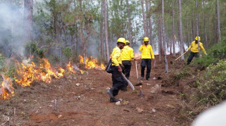 Medio Ambiente asegura que incendios forestales en distintos puntos del país están controlados