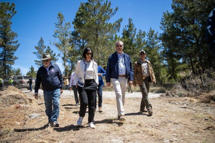 Gobierno reforestará zonas afectadas por incendios forestales