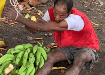 Hombre amarra a ladrón que intentaba robar racimo de plátanos