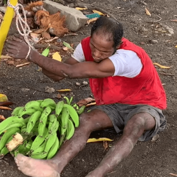 Hombre amarra a ladrón que intentaba robar racimo de plátanos