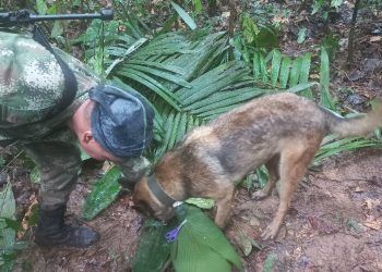 Cuatro niños sobreviven 17 días en selva de Colombia tras accidente aéreo