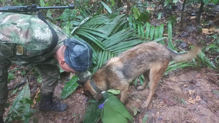 Cuatro niños sobreviven 17 días en selva de Colombia tras accidente aéreo