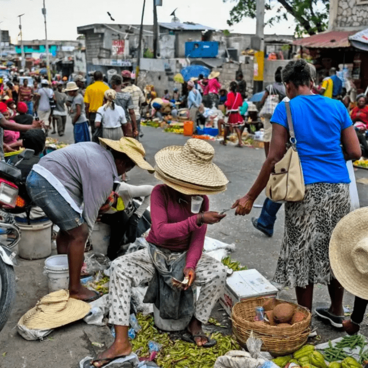 La FAO alerta sobre inseguridad alimentaria aguda afecta a casi la mitad de los haitianos