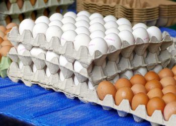 Inespre rebaja cartón de huevos a 130 pesos