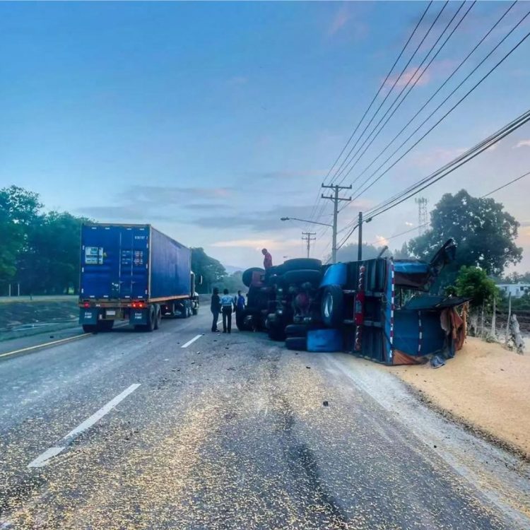Moradores roban sacos de maíz de camión accidentado en Autopista Duarte