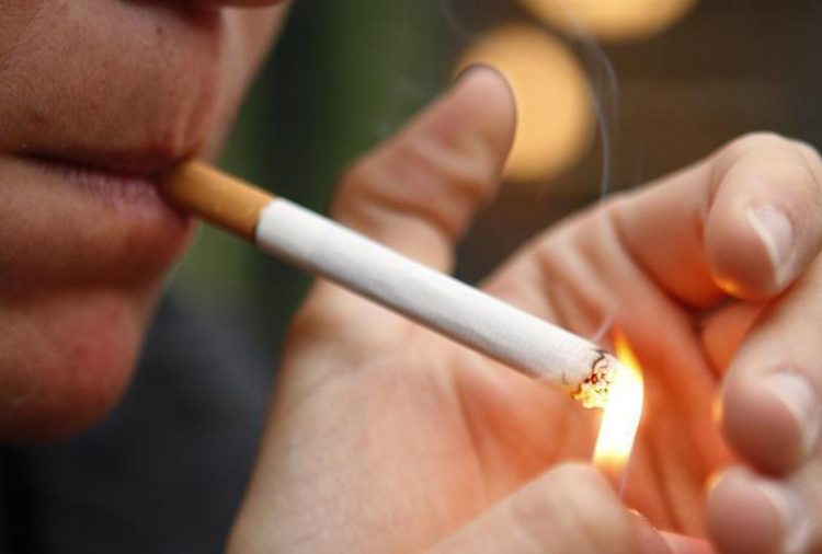 La OMS pide a los gobiernos que dejen de subvencionar el cultivo de tabaco