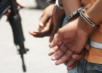 Apresan a dos hombres cuando intentaban vender un vehículo rentado en Hato Mayor