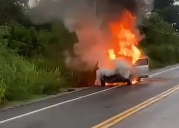 Se incendia vehículo en carretera El Seibo-Hato Mayor