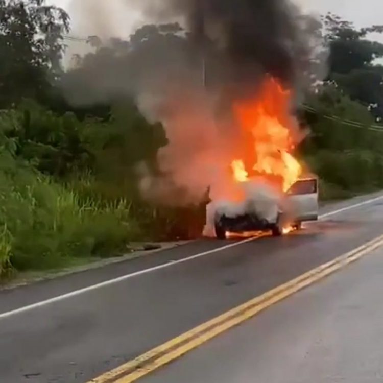 Se incendia vehículo en carretera El Seibo-Hato Mayor