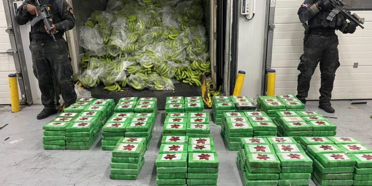 DNCD ocupa 400 paquetes de presunta cocaína escondida en carga de guineos en Puerto Caucedo