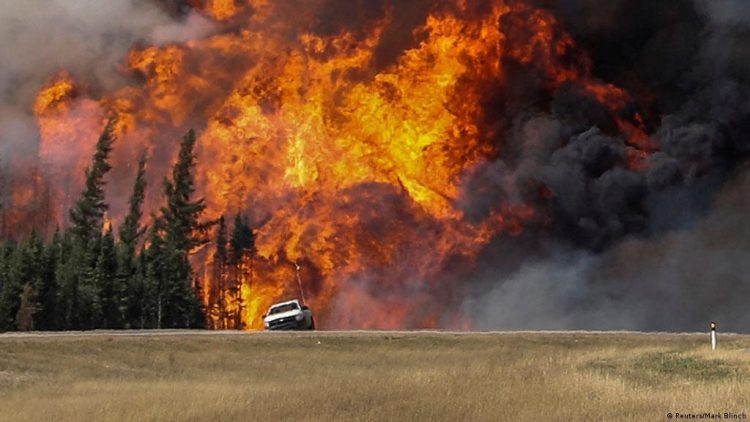 Declaran emergencia por incendios en Kelowna, al sur de Canadá